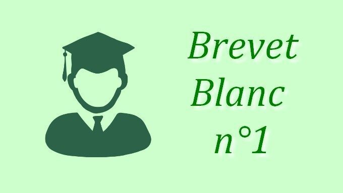 brevet blanc.jpg